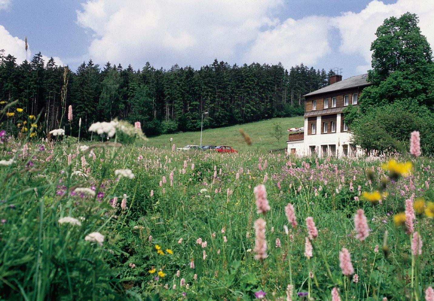 Landhaus Bergidyll Bärenstein エクステリア 写真