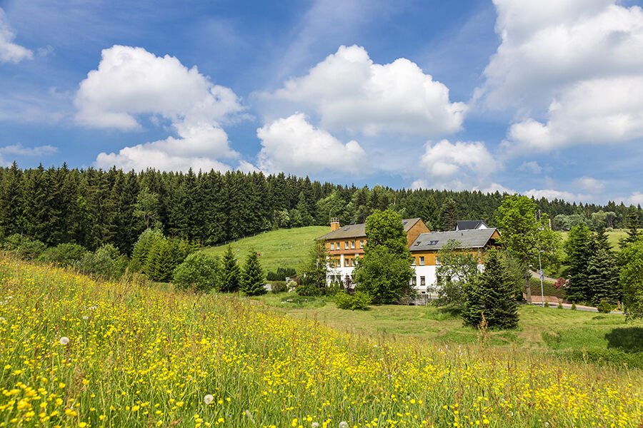 Landhaus Bergidyll Bärenstein エクステリア 写真