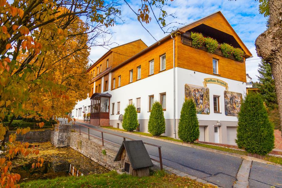 Landhaus Bergidyll Bärenstein エクステリア 写真