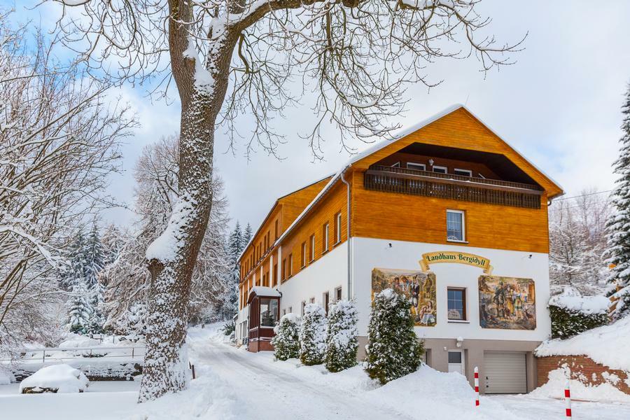 Landhaus Bergidyll Bärenstein エクステリア 写真