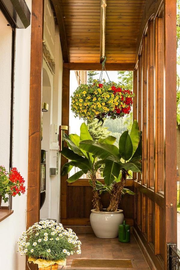 Landhaus Bergidyll Bärenstein エクステリア 写真