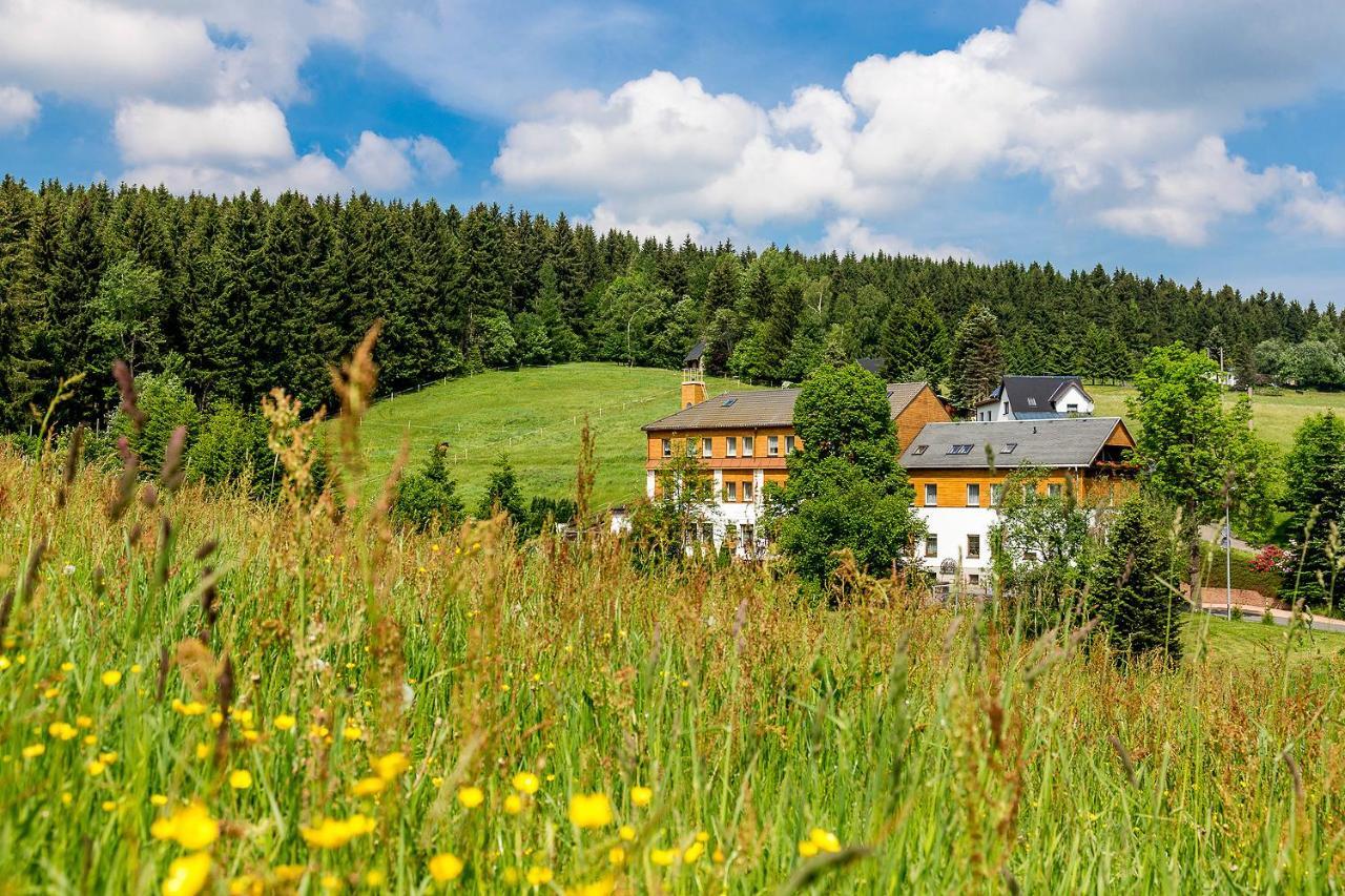Landhaus Bergidyll Bärenstein エクステリア 写真