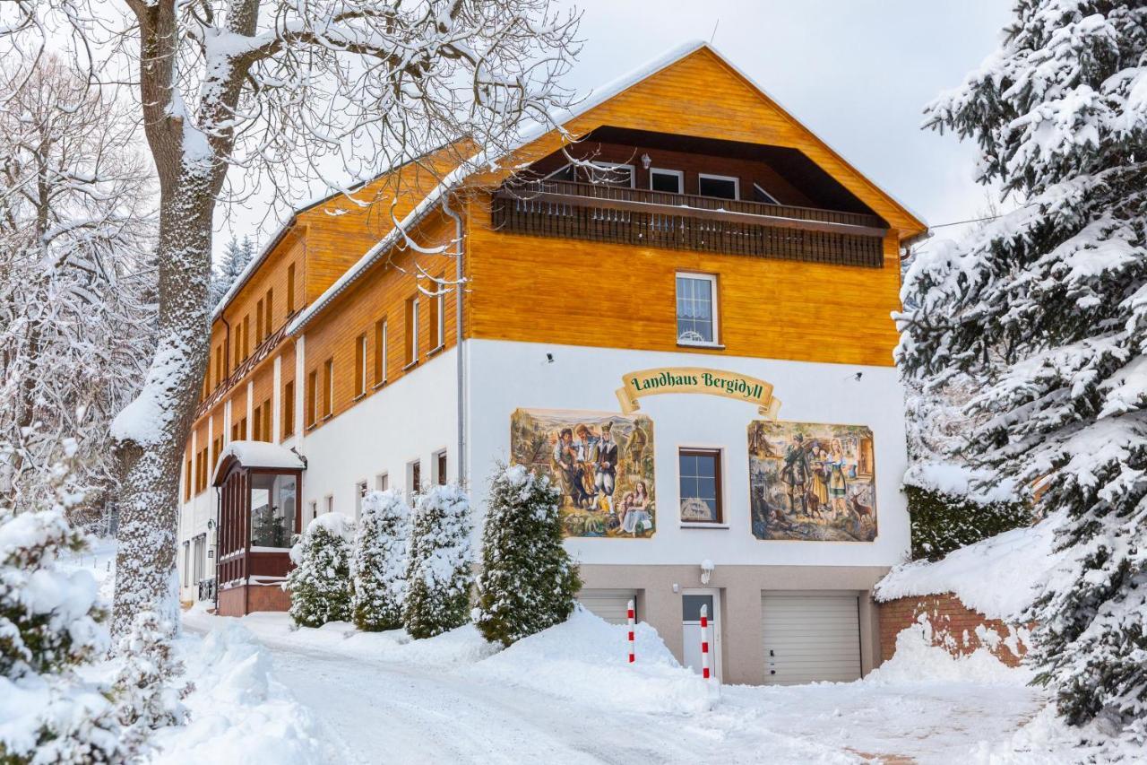 Landhaus Bergidyll Bärenstein エクステリア 写真